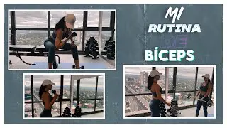 La Rutina PERFECTA para BÍCEPS (Sets y Repeticiones Incluidas) | Livia Brito