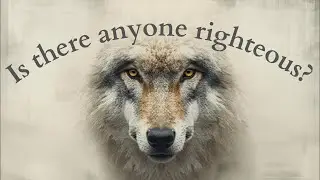 Watered Down Sin - Wolves Want Your Skin