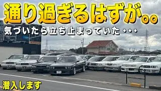通り過ぎるはずが立ち止まってしまった車屋！まだまだ出てきた！ダブルイーモーターズ【くるま小僧】