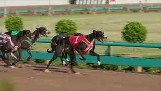 Australian Cup 2022 TVC