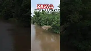 Beautiful view of Kawal Tiger Reserve in Jannaram #wildlife #tiger