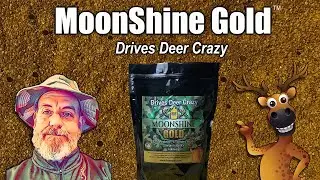 Moonshine Gold Deer Attractant
