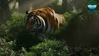 Tiger Day: Celebrating the Majestic Big Cat and its Conservation