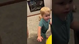 World&rsquo;s Most Beautiful Baby TERRORIZES a HELPLESS & DEFENSELESS Donkey 😢 [so sad]