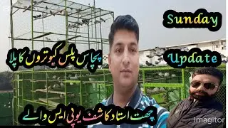CHEATH USTAD KASHIF UPS WALA Shock hi Shock ||@Eikshowkkabotarbazida 