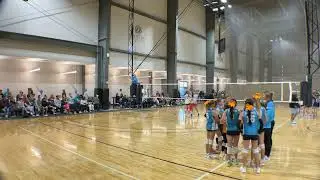 Winter Heat 12s Blacktips PP Gold Championship