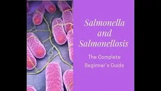 Salmonella and Salmonelliosis A Complete Beginner's Guide