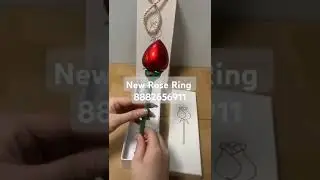 new Fancy Ring Box