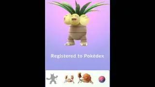 3 Starters + Dratini + Magikarp EPIC Evolutions