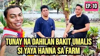 TUNAY NA DAHILAN BAKIT UMALIS SI YAYA HANNA SA FARM/ NAG AWAY NGA BA SILA NI @BrendaMageOfficial ?