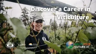 Discover a Career in Viticulture