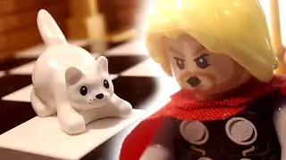 Thor's NEW Cat!
