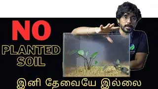 இனி தேவையே இல்லை costly planted soil இதுல ட்ரை பண்ணலாம் | EP 235