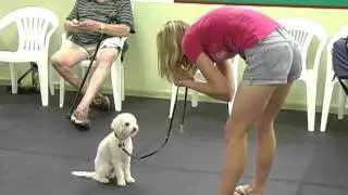Lucky Dog Sports Club.wmv