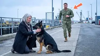 This Dog Waited for a Navy SEAL Every Morning — Until One Day He Was Late and Everything Changed!