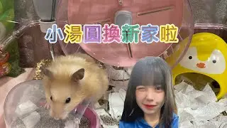 【開箱】 我的倉鼠換新空間啦  買了跑輪和屋子 一起來開箱！