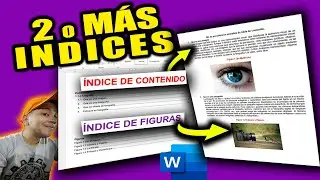 como hacer dos o m&aacute;s &Iacute;ndices autom&aacute;ticos  en Word