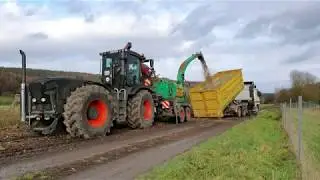 Hackschnitzel Häckseln 2019 mit Claas Xerion 3800 Trac Black Beauty und Jens HEM 583