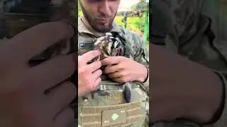 Cute assistant of the Ukrainian soldier #emotional #lifestyle #shorts #Ukraine