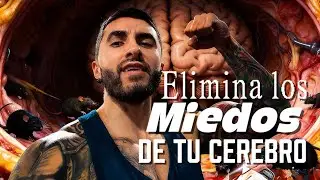 Elimina los miedos (ratas) que asechan tu mente | Así es como lo puedes hacer 👇🏼