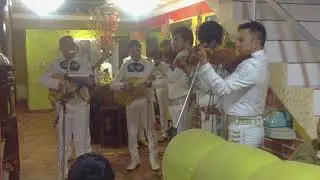 El gavilancillo y El son del burro - Mariachi Los Reyes de La Paz Bolivia