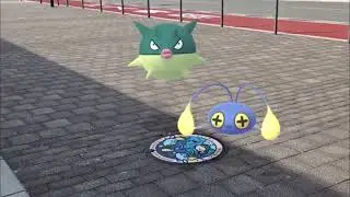 침바루+초라기 ( Qwilfish+Chinchou ) ハリーセン+チョンチー  (16:9)