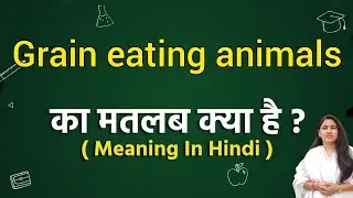 Grain eating animals meaning in hindi | Grain eating animals ka matlab kya hota hai | Word meaning