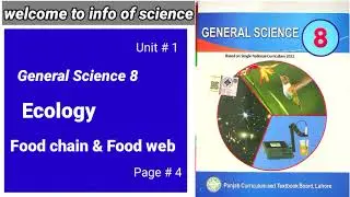 Food Chain and Food Web | Ecology Lecture in Simple Words