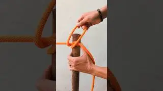 million people watching it. #constrictorknot