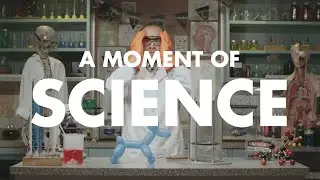 A Moment of Science - Liquid Nitrogen