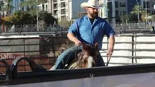 Waynard Schmidt and Eric Turner Secure Mil-Spec Liner #6/4 INC HC Win at 2025 Cowboy Town Showdown