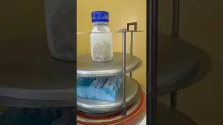Насекомые для людей #биология #насекомые #рецепты
