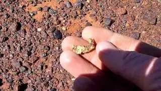 Gold Nugget Prospecting australia wa 1/4 ounce