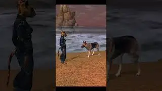 EQ2 - Trusted Guardian pet.