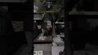 DLQ Wall Bang 🥶🥶 #callofduty #codm #viral #shorts