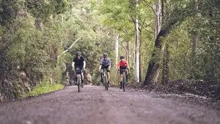 Ride With Us: Grove Grind Colo
