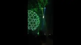 Sensation. Source of light 2013 Санкт-Петербург