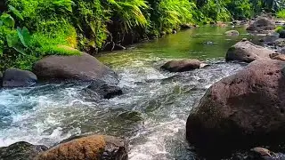 Powerful Water Roar Crashing Through Nature for Deep Grounding Elemental Resilience