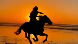 Sun Chasers - Would you still love me