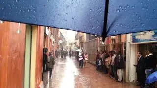 Borriquita Sevilla 2013