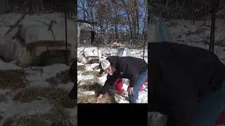 Extreme Gardening Day 2 below zero