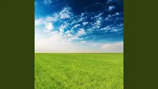 Smuilia