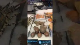 $99.99 Per Kilogram Of Scampi Imported From Denmark