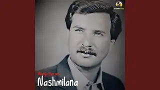 Nashmilana