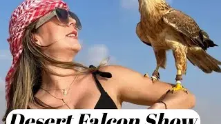 Desert falcon show Presnol vloge UAE