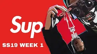 SUPREME SS19 LIVE COP WEEK 1 MANUAL CHECKOUT ATTEMPT ( MUST WATCH )