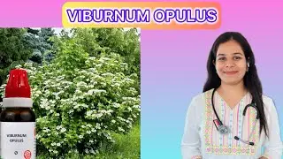 Viburnum opulus homeopathic mother tincture in Hindi
