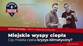 Miejski klimat: czym są wyspy ciepła?