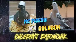 Golubok - Chlebnyj batonchik. Golubok x Mc pigeon (2024)
