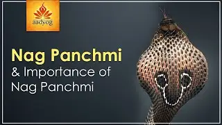 Naga Panchami | Importance of Nag Panchami #aadyog #nagpanchami #nagpanchamidate #nagpanchami2022